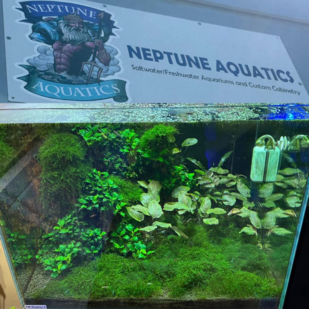 Neptune Aquatics